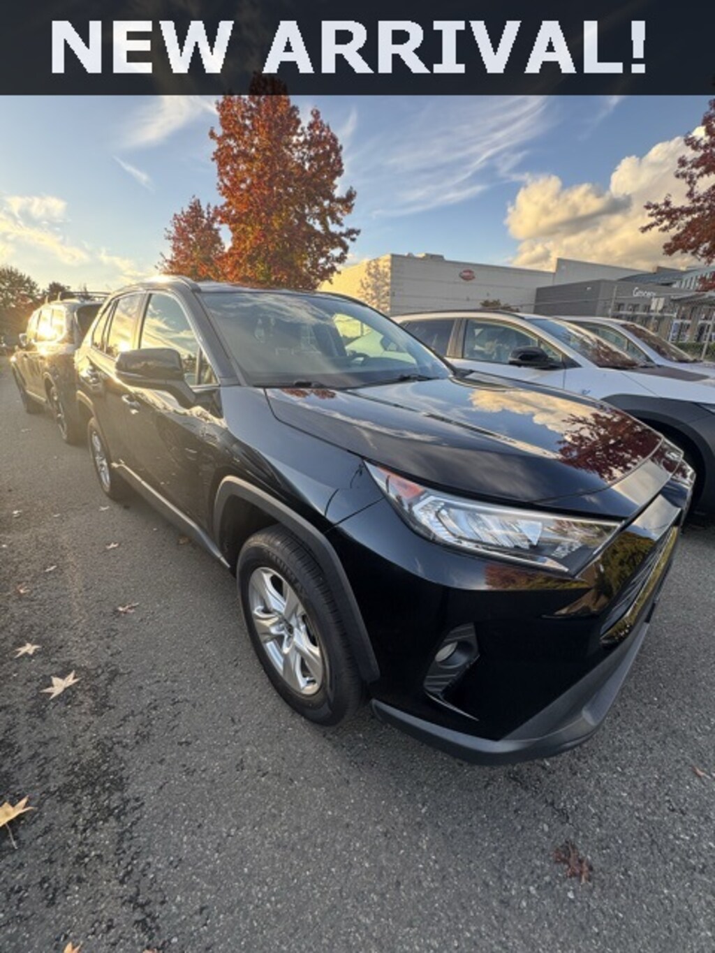 Used 2021 Toyota RAV4 XLE SUV