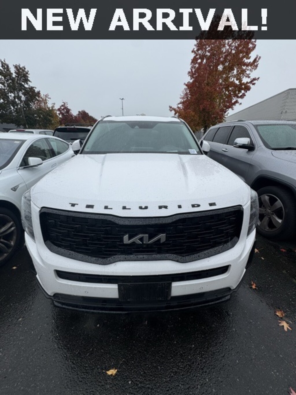 Certified 2022 Kia Telluride SX SUV