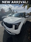 Kia Carnival Hybrid