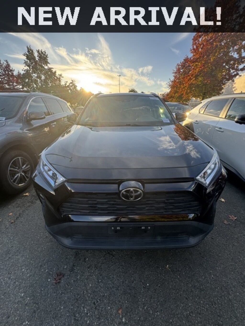 Used 2021 Toyota RAV4 XLE SUV