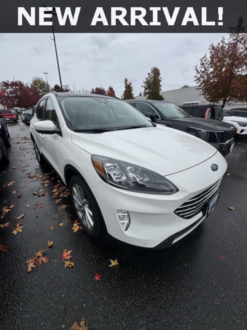 Used 2021 Ford Escape Titanium SUV