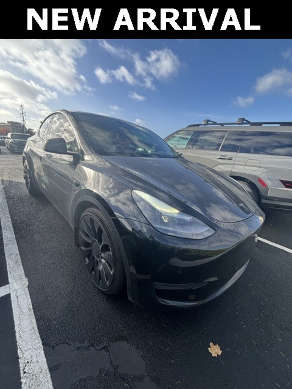 Used 2022 Tesla Model Y Performance SUV