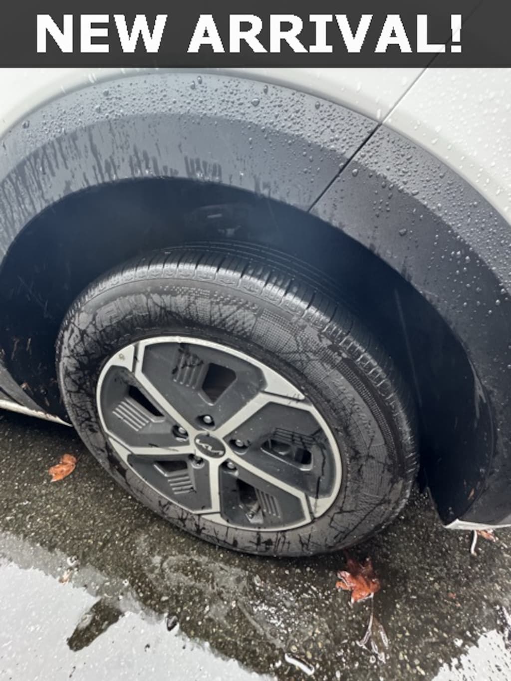 Certified 2025 Kia Niro LX SUV