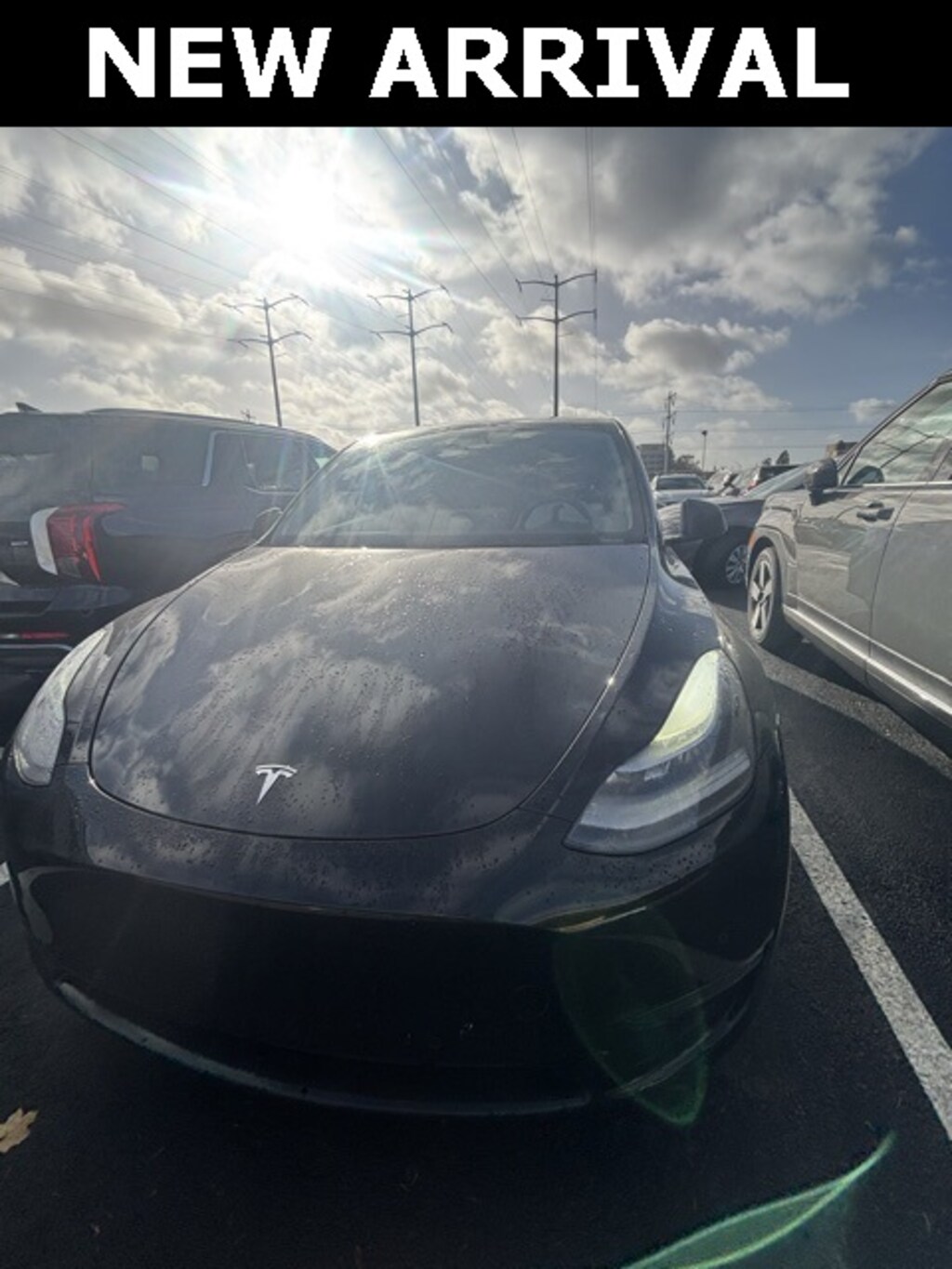 Used 2022 Tesla Model Y Performance SUV