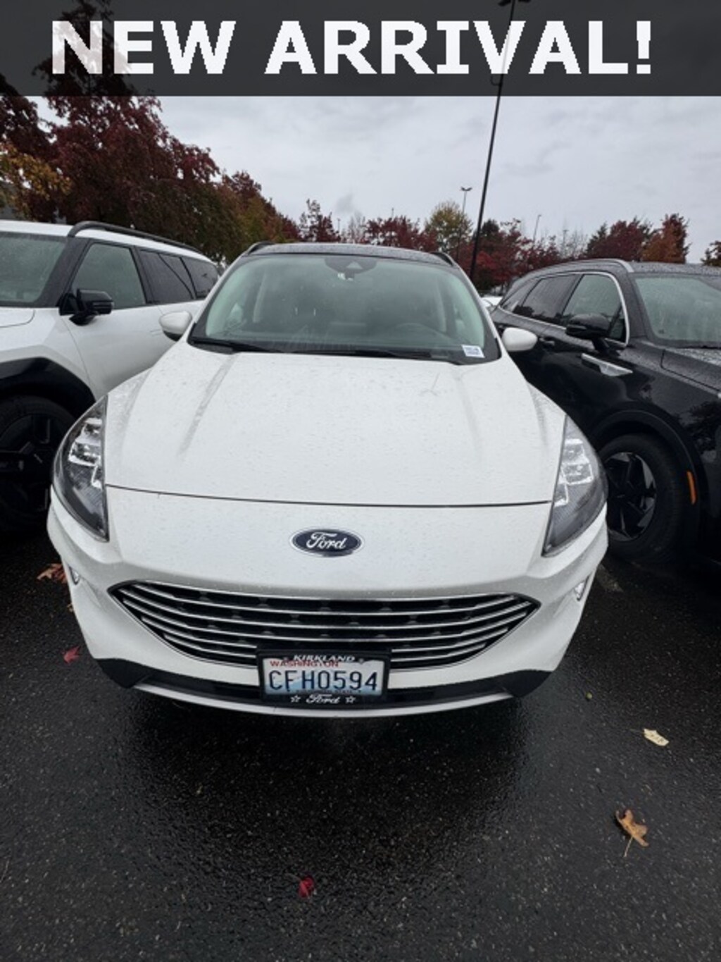 Used 2021 Ford Escape Titanium SUV