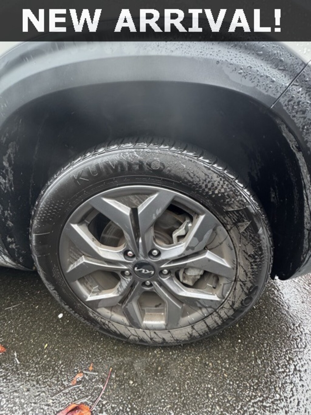 Used 2024 Kia Seltos LX SUV