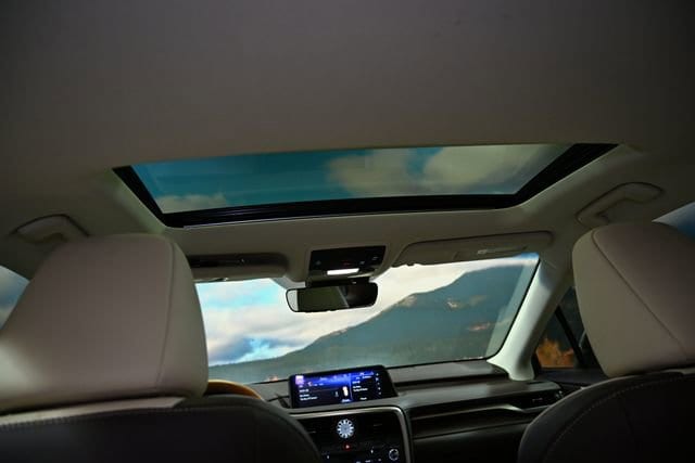 View 50