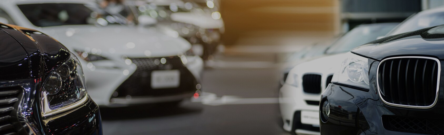 Car Dealers Toronto >> Used Car Dealerships Toronto Cars For Sale Car Solutions Canada Car Dealers Toronto >> Used Car Dealerships Toronto Cars For Sale Car Solutions Canada