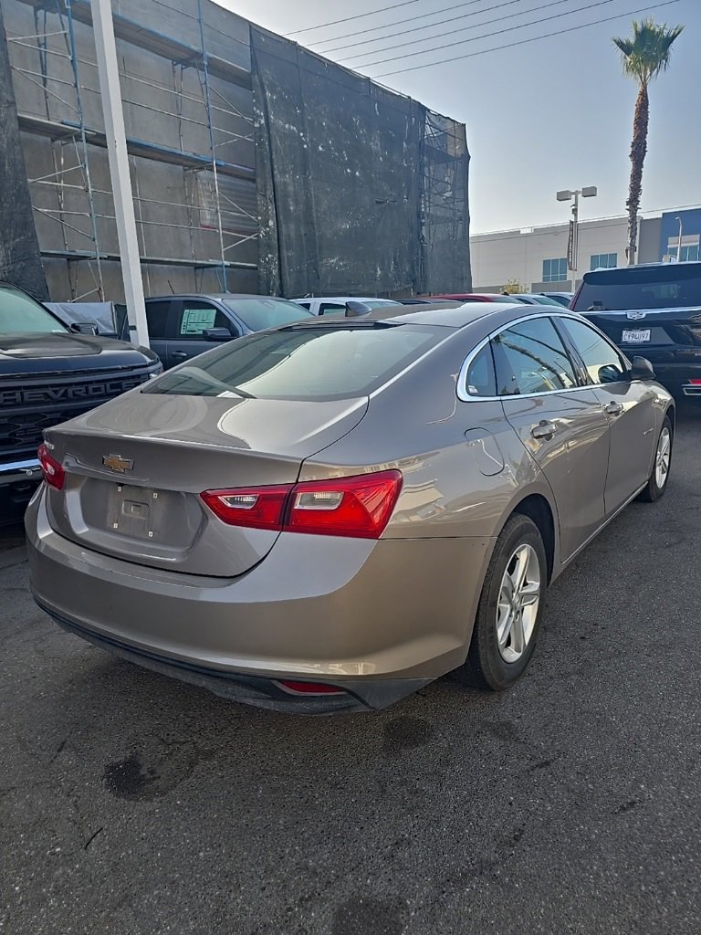 2023 Chevrolet Malibu photo 3