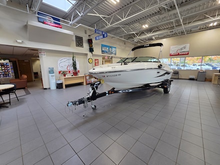 2013 SEA RAY 190 SPORT  BOAT