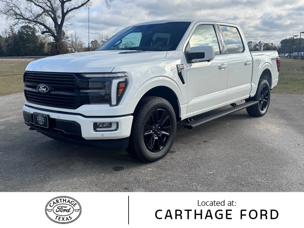 2025 Ford F-150 Platinum's photo