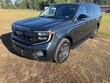 Ford Expedition Max