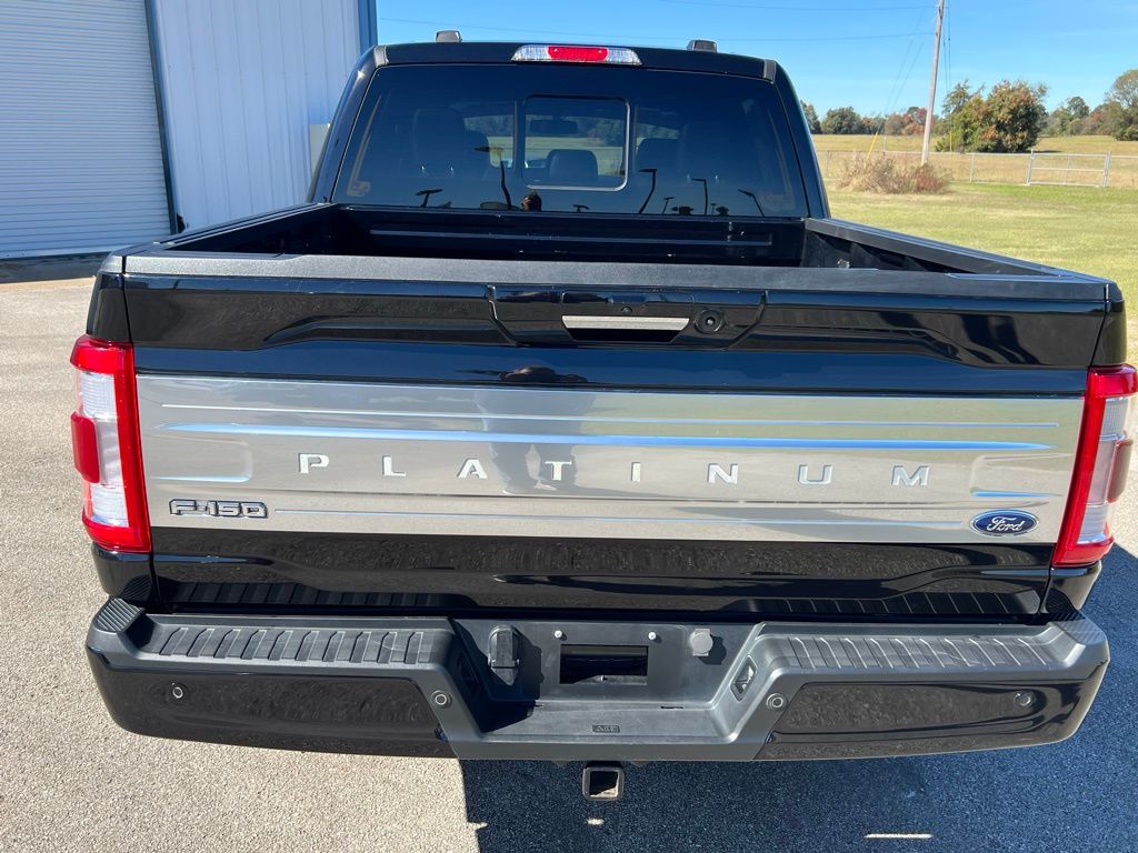 2023 Ford F-150 Platinum photo 3