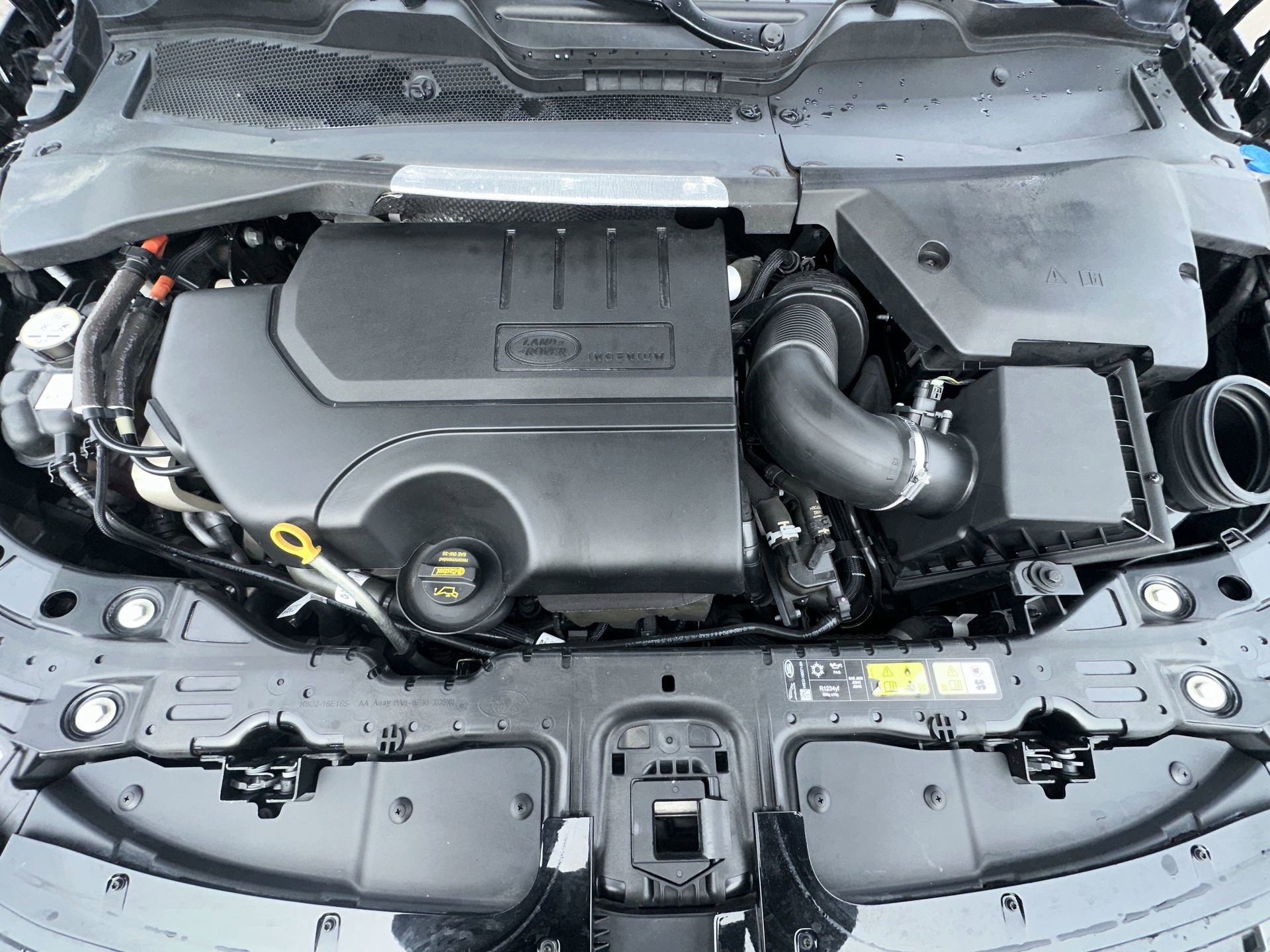 2024 Land Rover Range Rover Evoque Dynamic SE - Photo 11