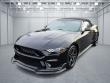 Used 2023 Ford Mustang EcoBoost Premium Convertible