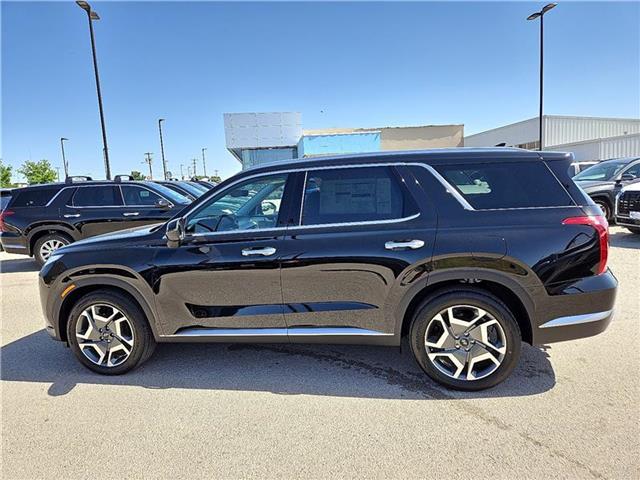2025 Hyundai Palisade SEL photo 2