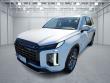 Used 2024 Hyundai Palisade  BW