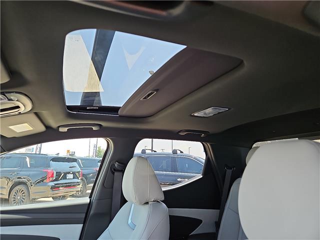 2025 Hyundai Santa Cruz Limited - Photo 15