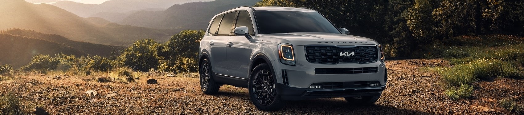 2022 telluride review