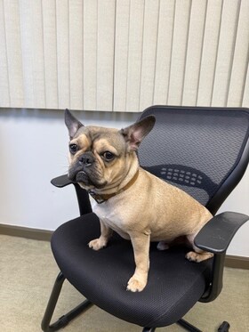 Staff member Toby from ID_c03bb9