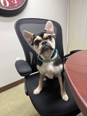 Staff member Reign from ID_c03bb9