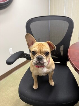 Staff member Ruby from ID_c03bb9