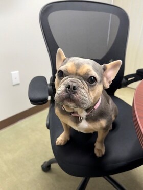 Staff member Luna from ID_c03bb9