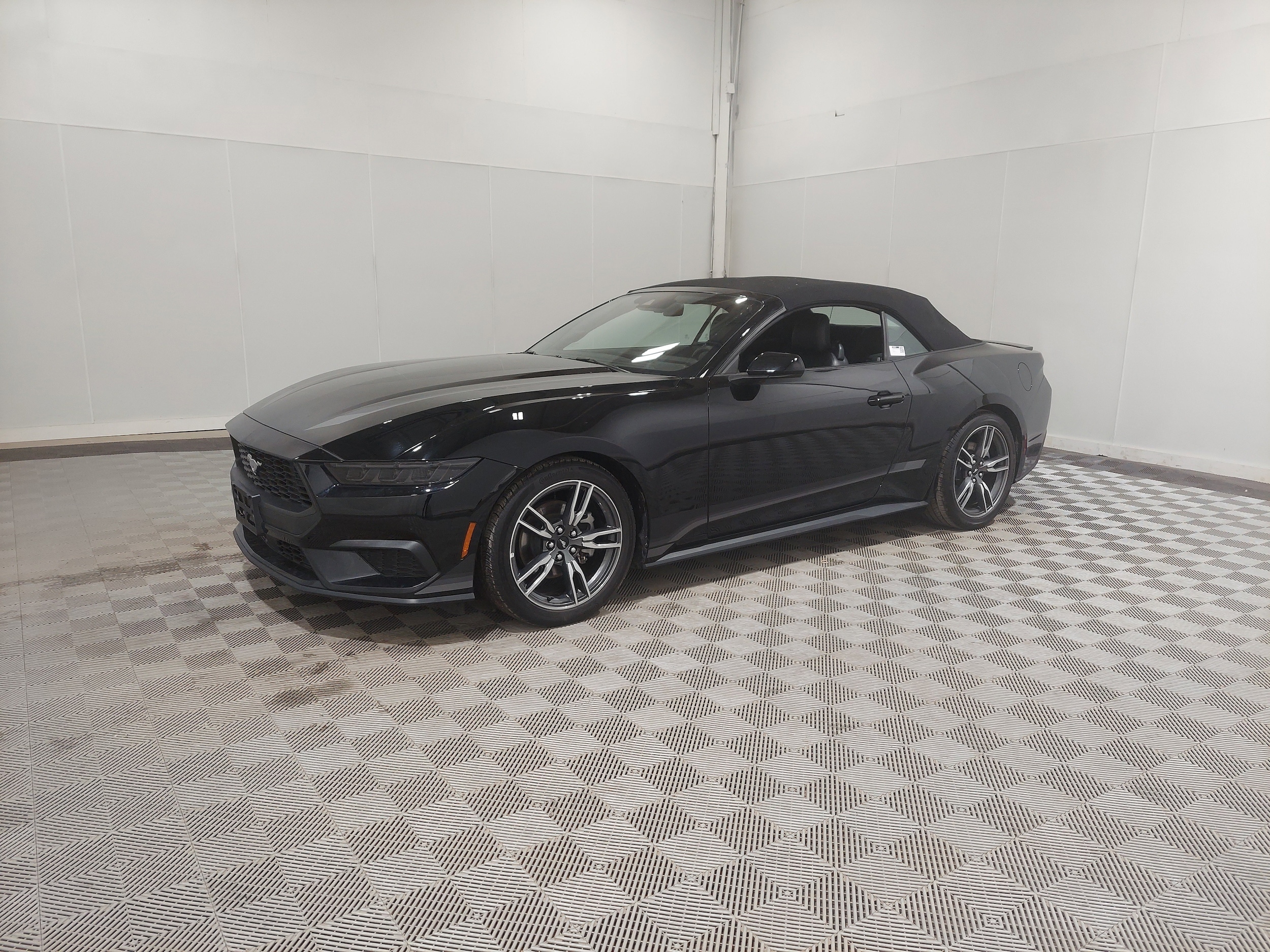 2025 Ford Mustang's photo