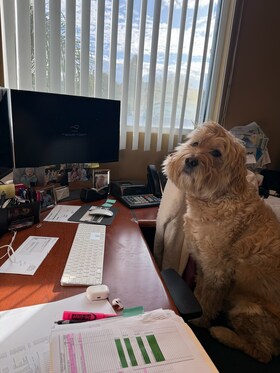 Staff member GOODBOY RILEY from ID_489552be727c