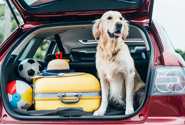How To Pack For A Road Trip - Casa Ford Blog