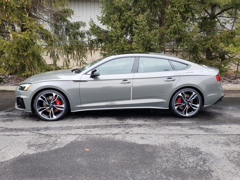 2025 Audi S5 Premium Plus photo 3