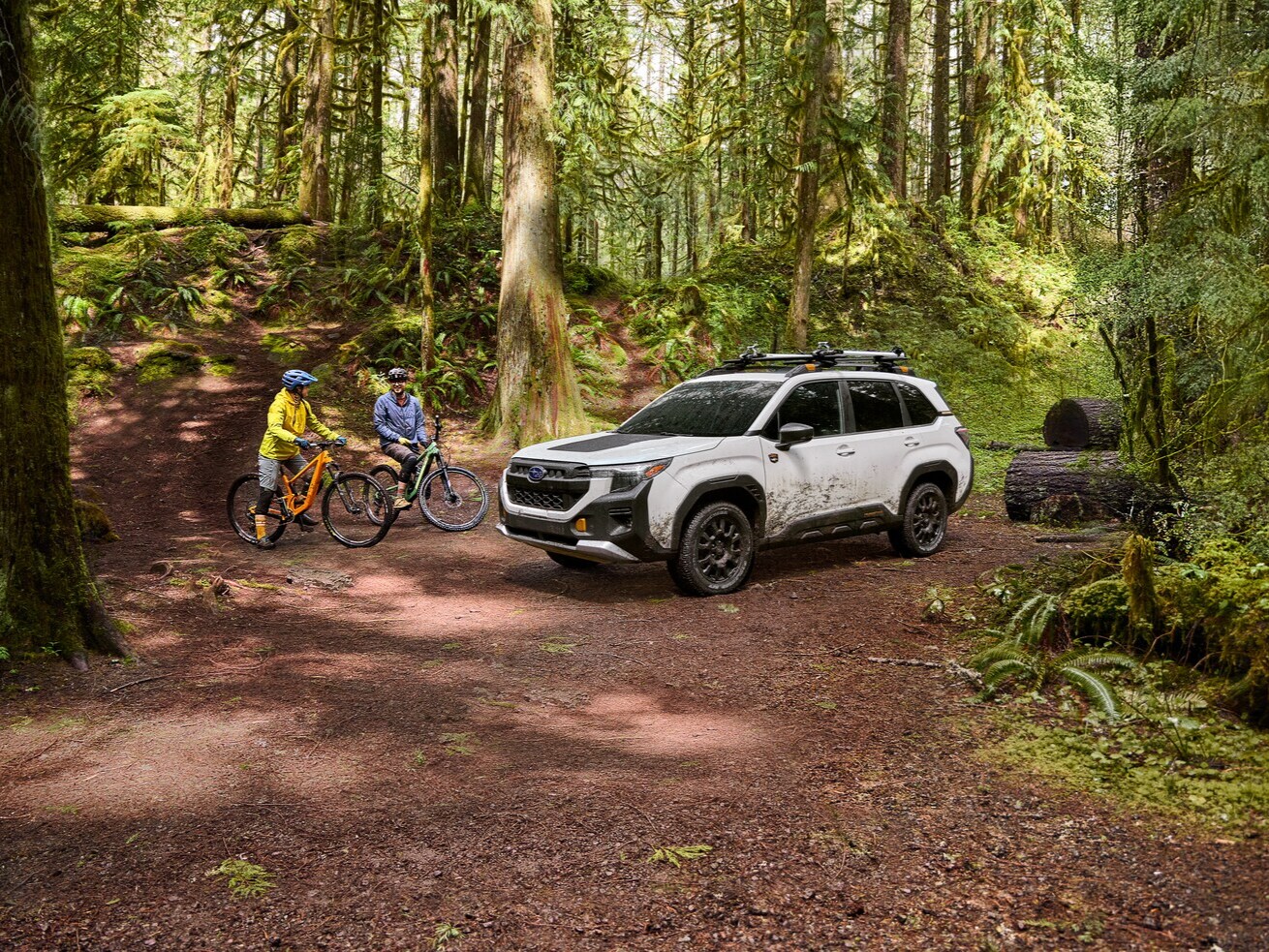 Subaru Lifestyle