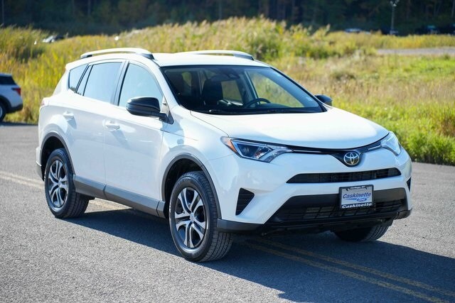 2018 Toyota RAV4 LE photo 3