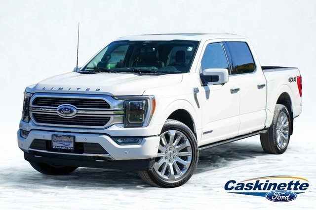 2021 Ford F-150 Limited's photo