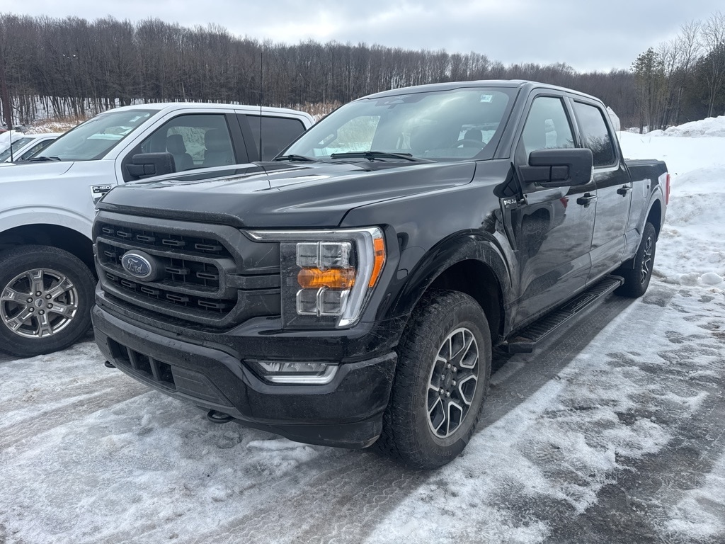 2023 Ford F-150 XLT's photo
