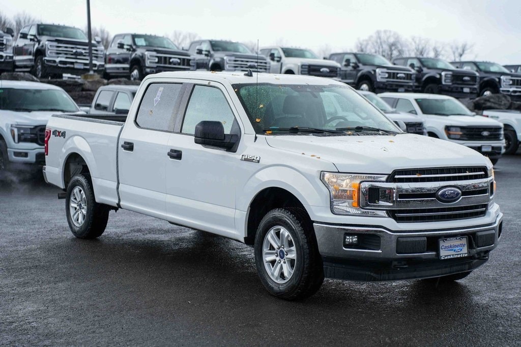 Used 2019 Ford F-150 XLT Truck