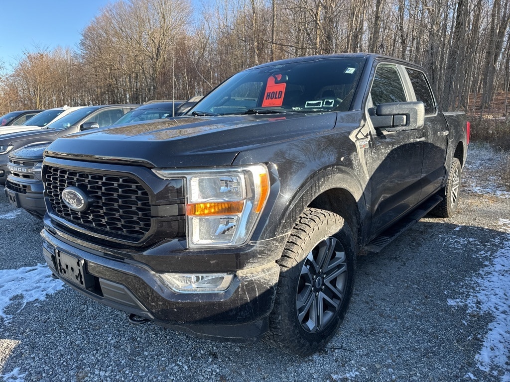 Used 2022 Ford F-150 XL Truck