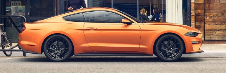 2019 EcoBoost Mustang