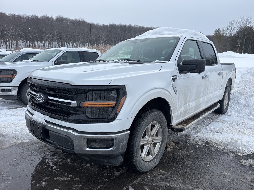 2024 Ford F-150 XLT's photo