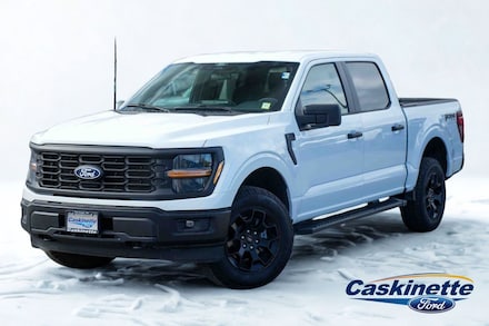 2024 Ford F-150 STX Truck