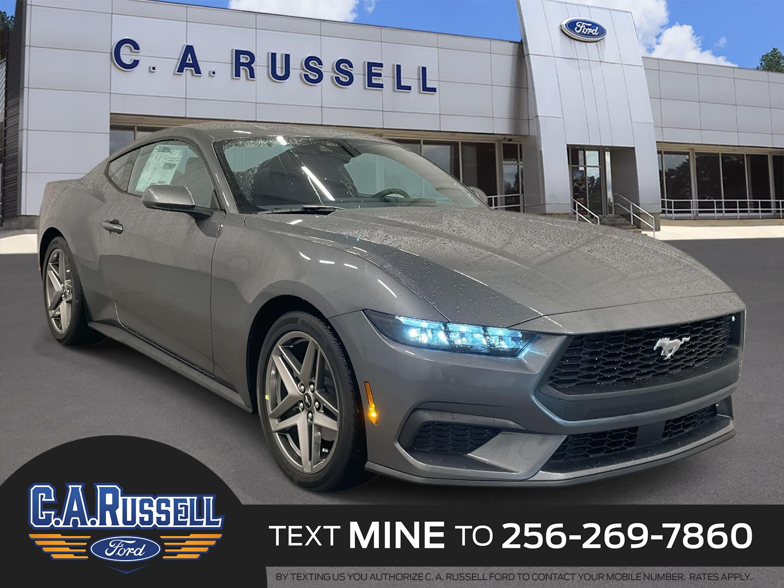 2026 Ford Mustang EcoBoost's photo