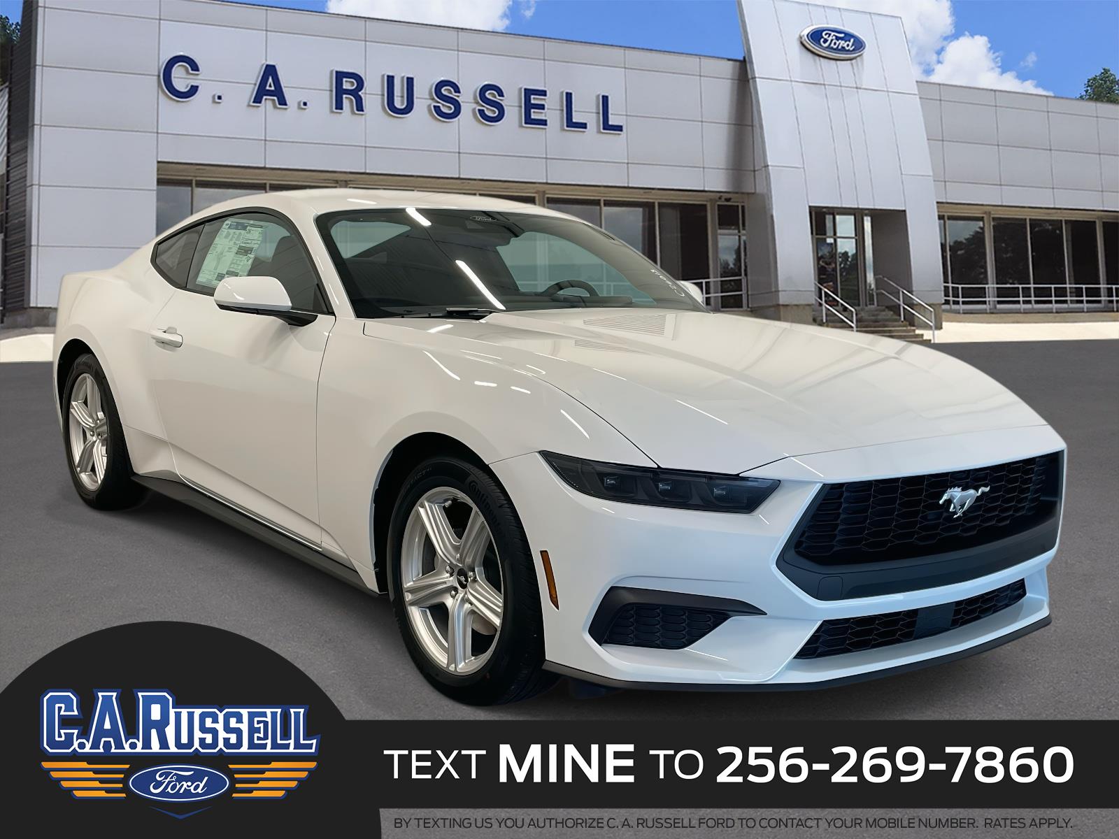 2026 Ford Mustang EcoBoost's photo