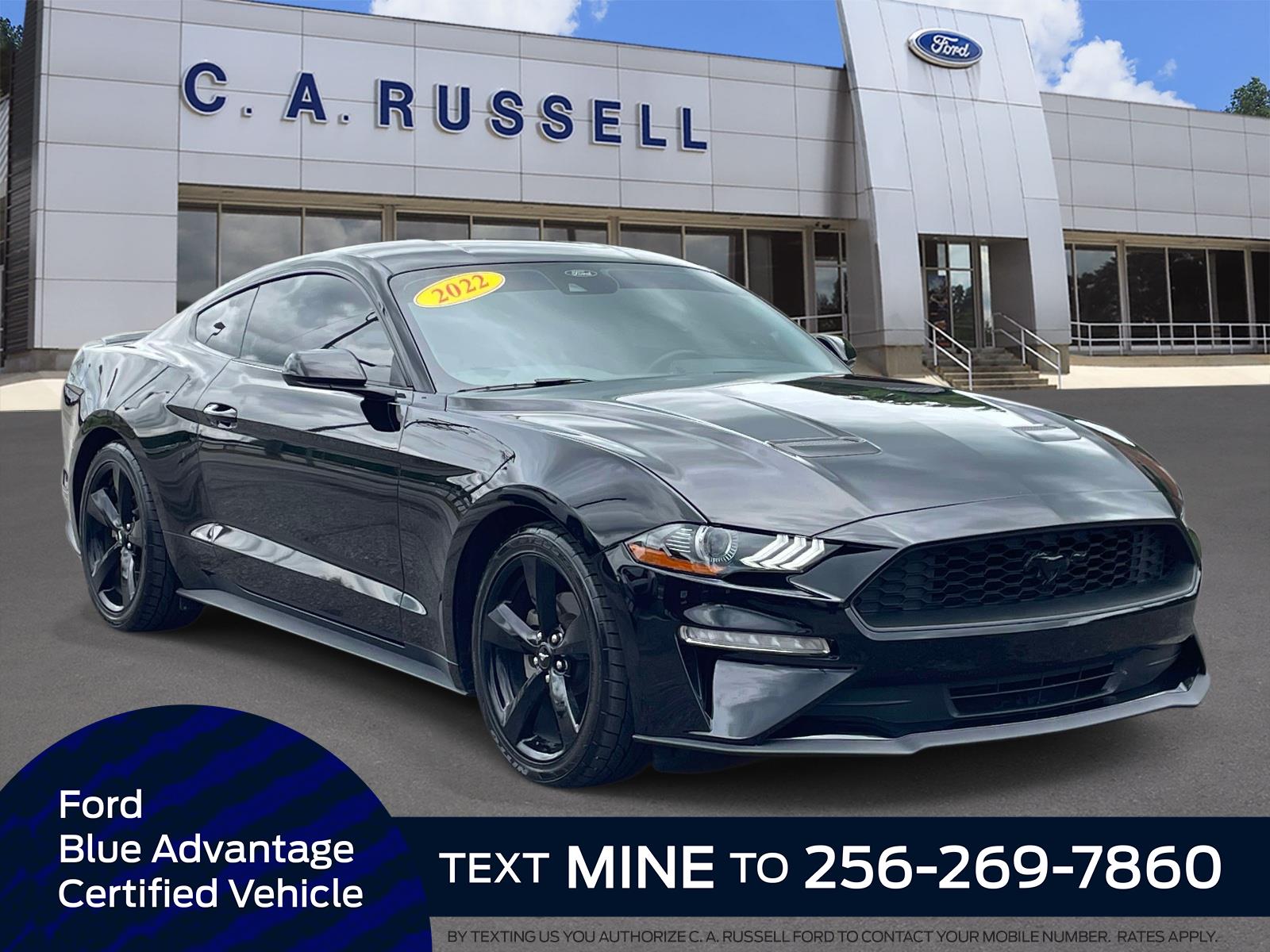 2022 Ford Mustang EcoBoost Coupe's photo