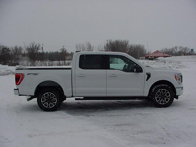 Used 2021 Ford F-150 XLT with VIN 1FTFW1E86MFA52085 for sale in Pine City, Minnesota