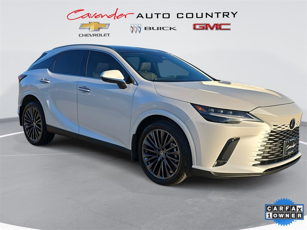 2023 Lexus RX 350 Luxury photo 3