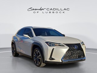 2021 LEXUS UX 250h