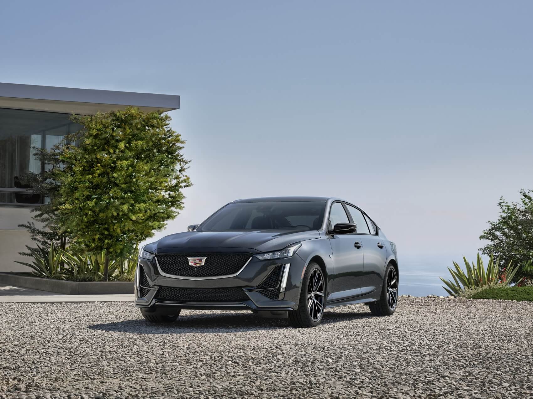 Cavender Cadillac