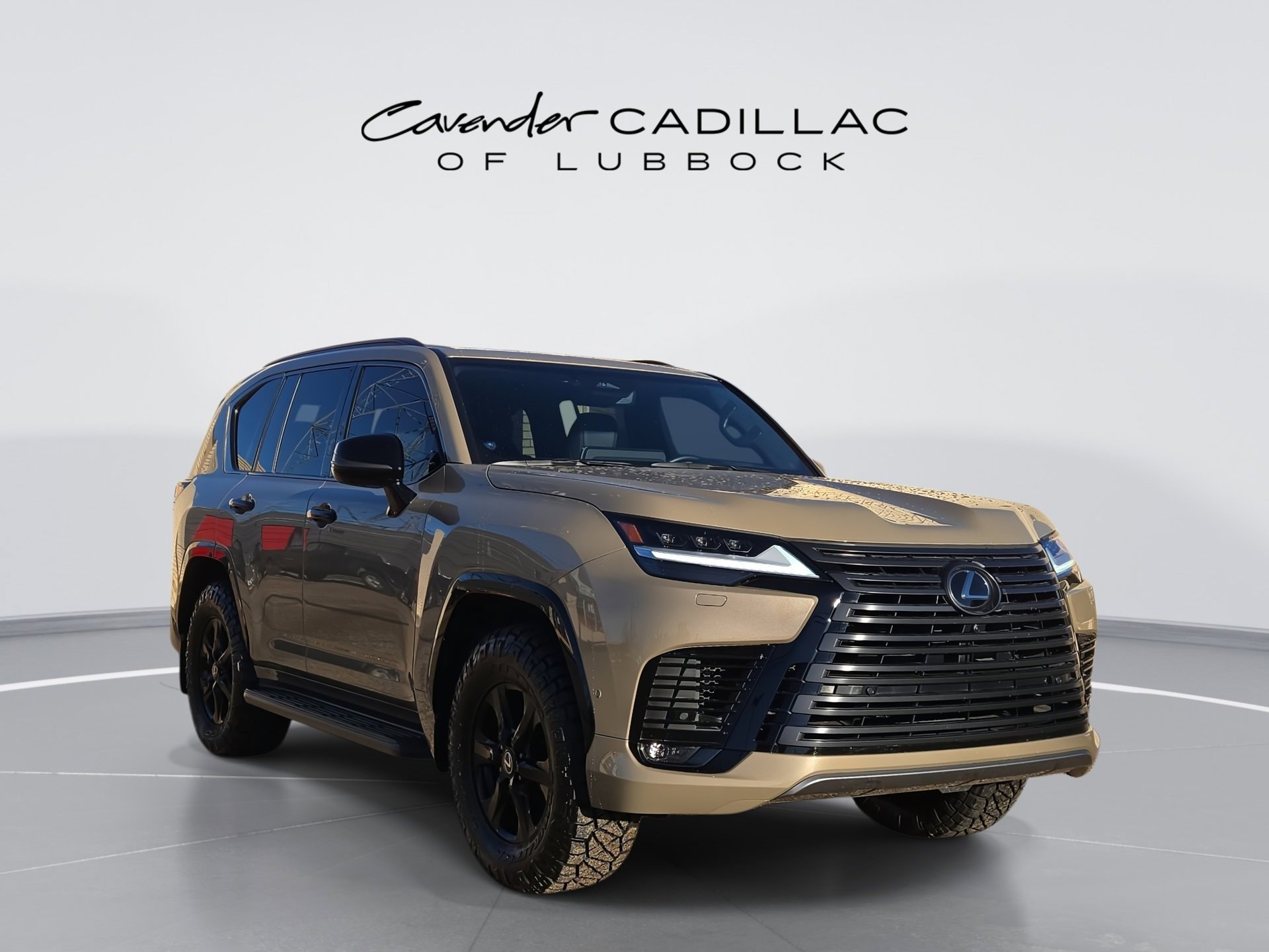 2025 Lexus LX Overtrail's photo