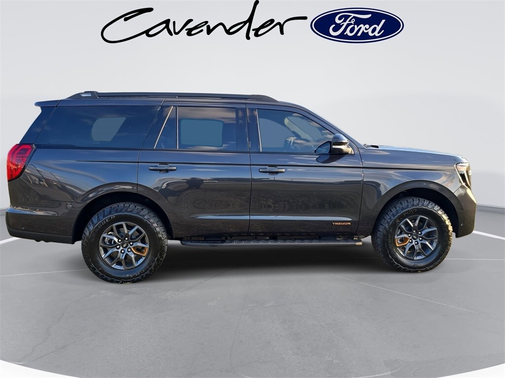 2025 Ford Expedition photo 3