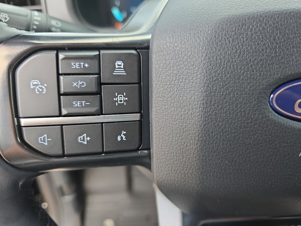 2025 Ford F-150 Platinum - Photo 16